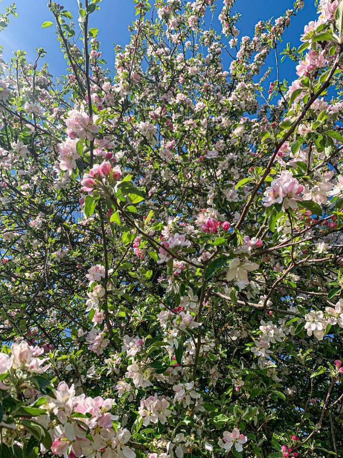 Holiday Home Les Plachettes Flobecq Bagian luar foto