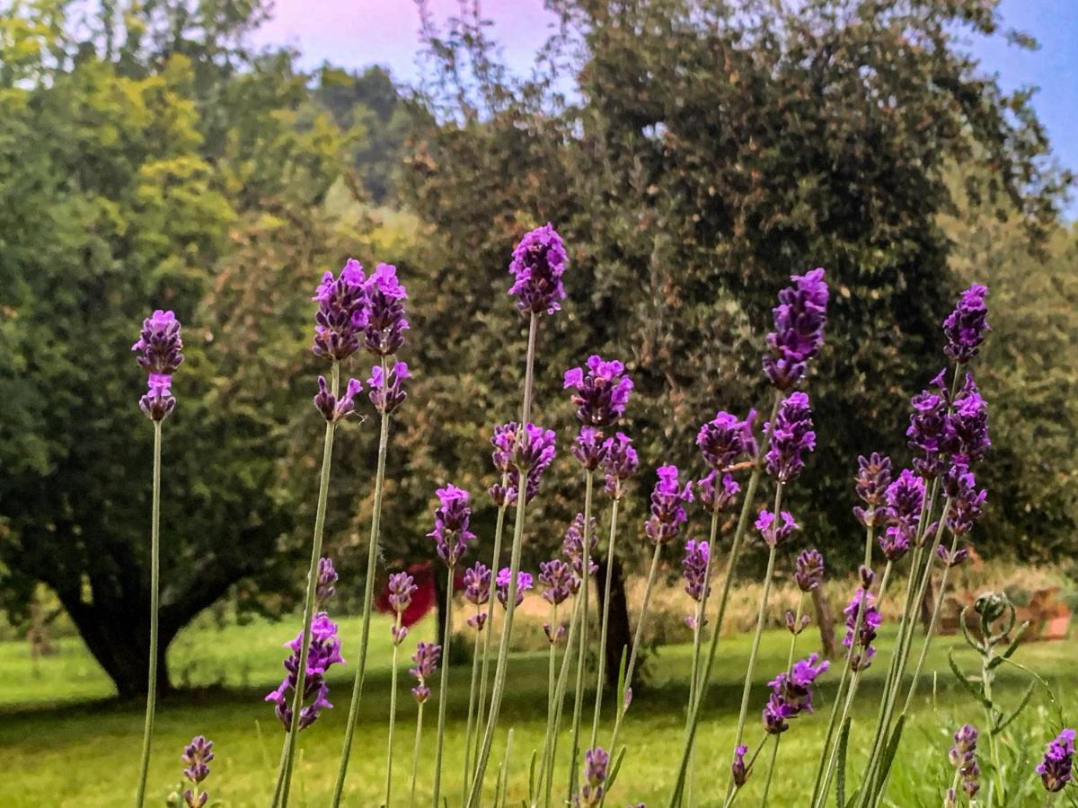 Holiday Home Les Plachettes Flobecq Bagian luar foto
