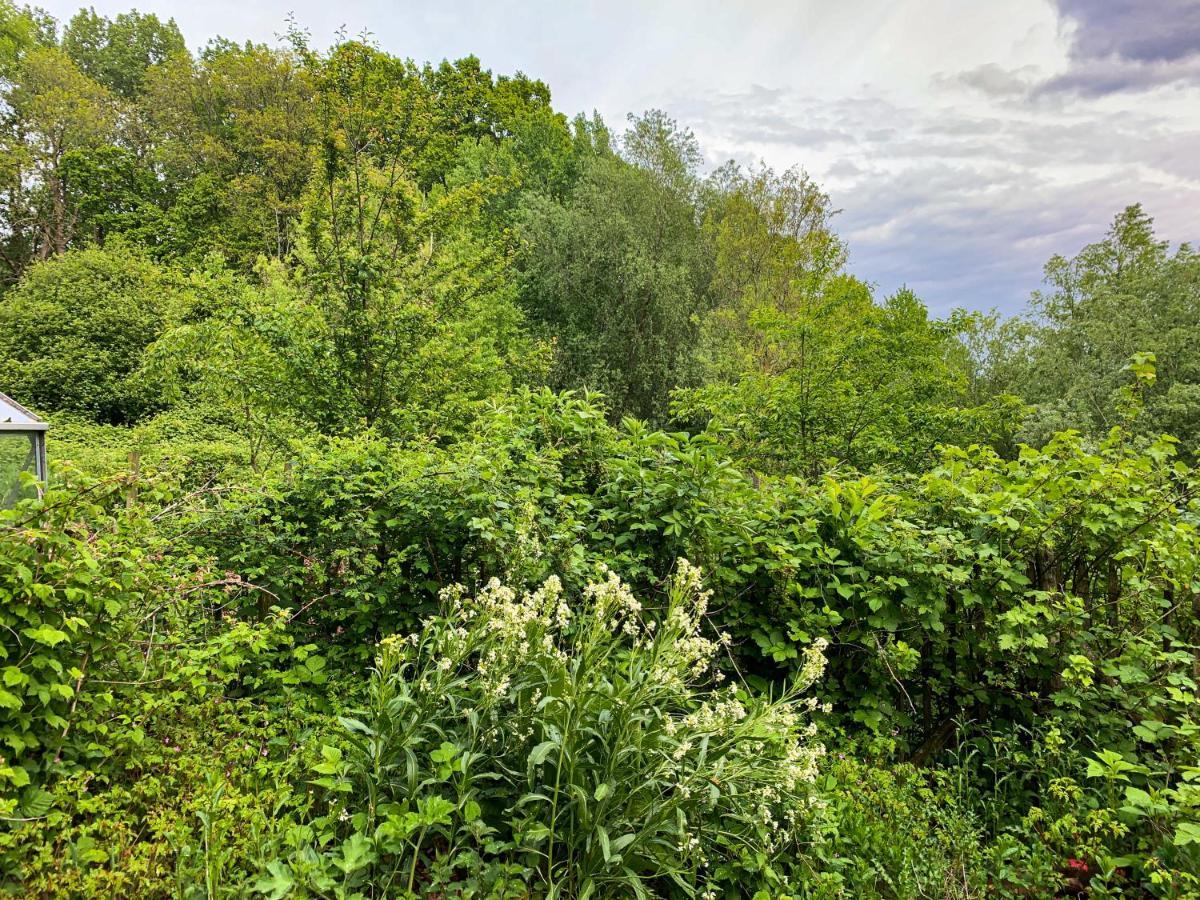 Holiday Home Les Plachettes Flobecq Bagian luar foto
